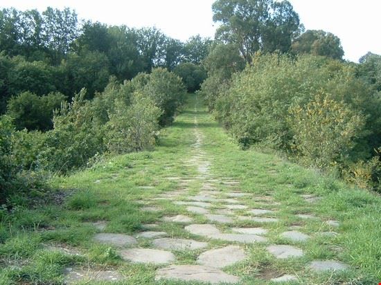  Sessa Aurunca  