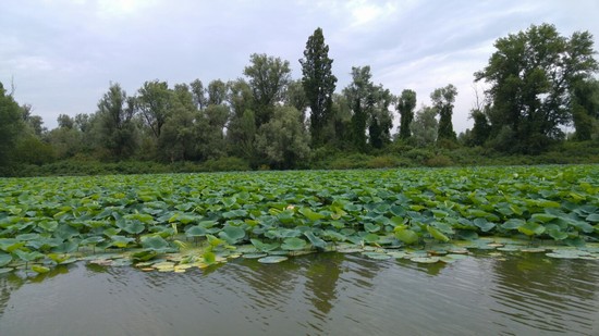 Meraviglioso panorama sul Mincio