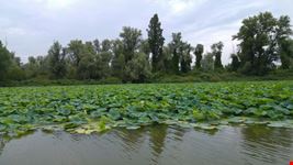 Meraviglioso panorama sul Mincio