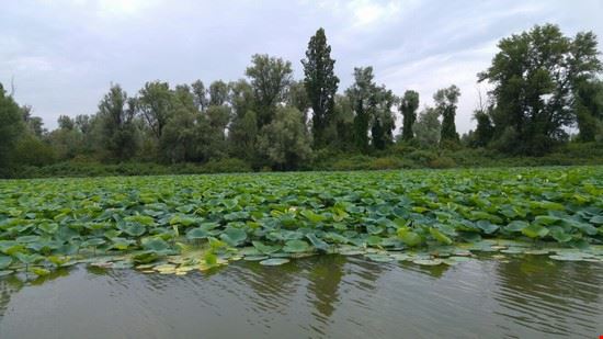  Mantova  
