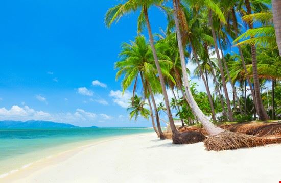  Koh Samui Ozerov Alexander - Shutterstock.com Ozerov Alexander