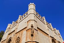 palma di maiorca llonja