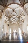 palma di maiorca llonja