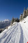 san vito di cadore 1