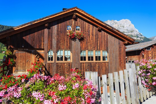 selva di cadore 1
