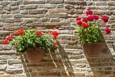 Monterubbiano 