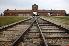 cracovia auschwitz