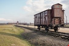 cracovia auschwitz