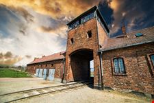 cracovia auschwitz