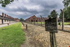 cracovia auschwitz