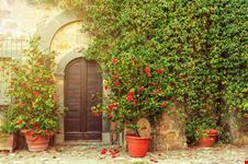 Bagnoregio