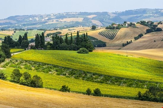  Arcevia Claudio Giovanni Colombo - Shutterstock.com Claudio Giovanni Colombo