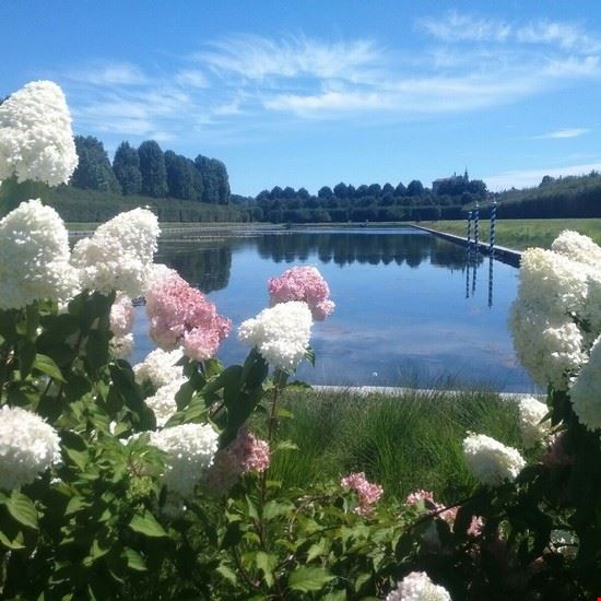  i giardini  