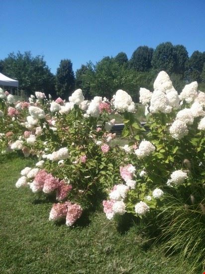  i giardini  