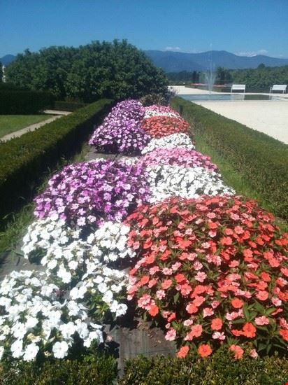  i giardini  