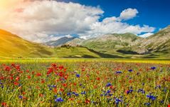 Altopiano di Castelluccio