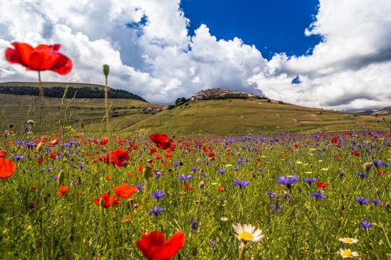Altopiano di Castelluccio