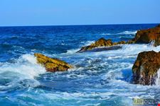 in mare