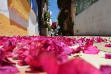 marbella marbella