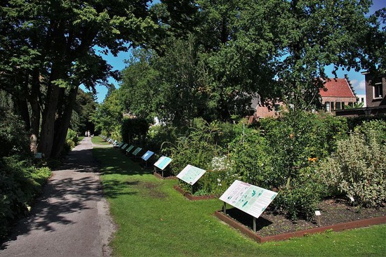 hortus botanicus leiden 3