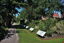 hortus botanicus leiden 3
