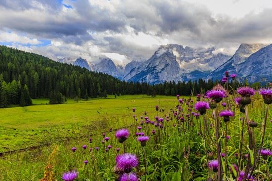 San Vito di Cadore gorillaimages - Shutterstock gorillaimages
