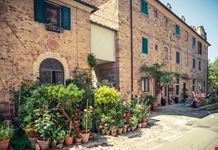 Bolgheri