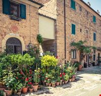 Bolgheri Bolgheri
