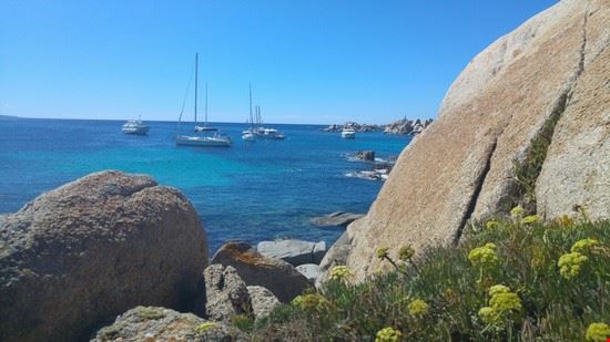  Bonifacio  