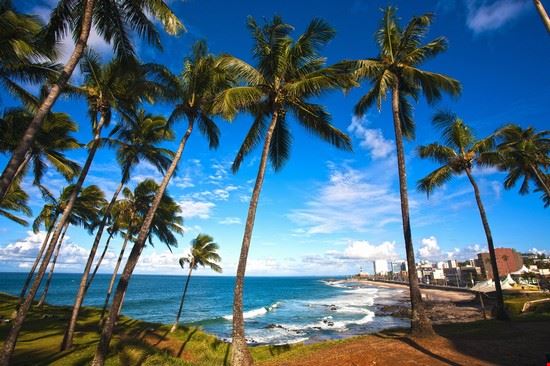  Salvador de Bahia Shutterstock.com - Shutterstock.com Shutterstock.com
