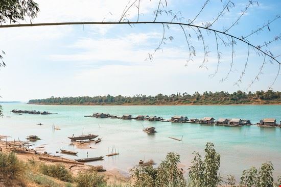 Delfini di Kratie - Simo80 - Simo80 - Shutterstock