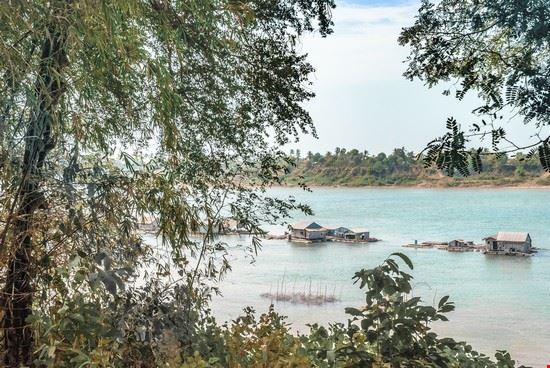 Delfini di Kratie Angkor Simo80 Simo80
