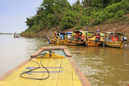 Delfini di Kratie Angkor Don Mammoser - Shutterstock Don Mammoser