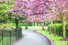 dublino st stephen  s green