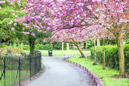 St Stephen's Green Dublino Giancarlo Liguori - Shutterstock Giancarlo Liguori