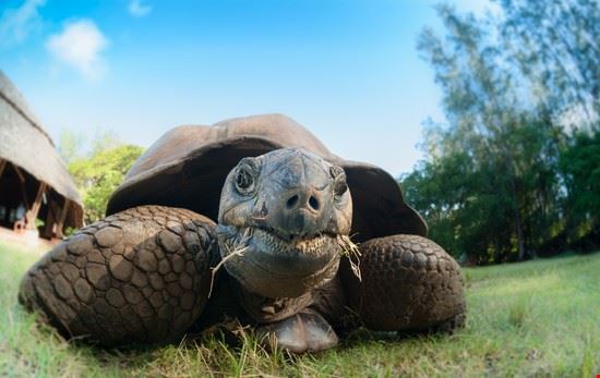 Haller Park - Shutterstock.com - Shutterstock.com - Shutterstock.com