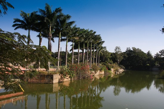 Giardino Botanico