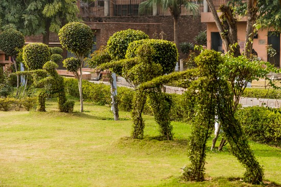 Jallianwala Bagh