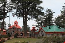shimla tempio di jakhu