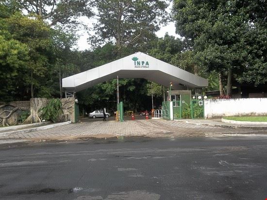  Manaus União da Juventude Mestiça  - CC BY SA 3.0 União da Juventude Mestiça 