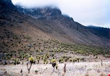 parco nazionale del monte kenya