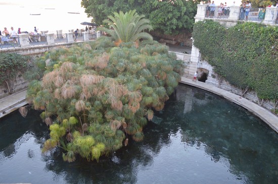 Fonte Aretusa