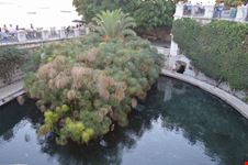 fonte aretusa siracusa