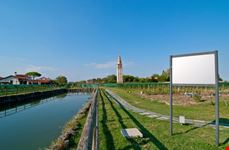 Vigneti intorno Burano