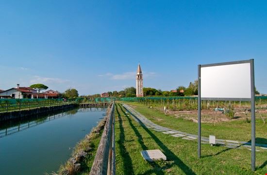 Cicloturismo in Veneto Asolo keko64 - Shutterstock keko64