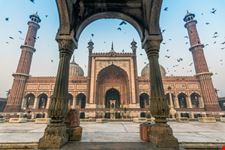 delhi delhi