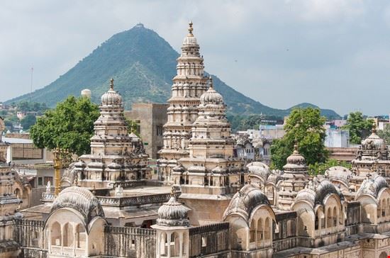 Pushkar Delhi Fat Jackey - Shutterstock Fat Jackey