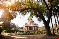 delhi lodi gardens
