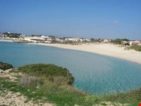 le canne pulsano