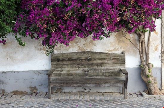  Faro Philip Lange - Shutterstock Philip Lange